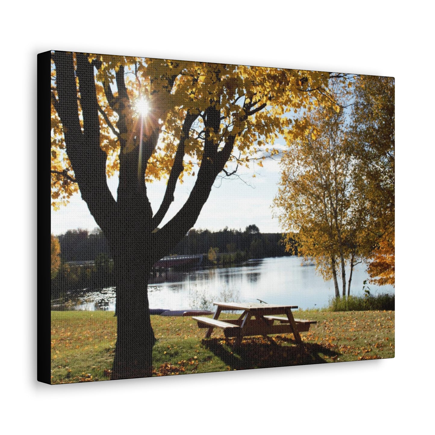 Canvas Gallery Wraps (Black Wrap) - Picinic by the river.