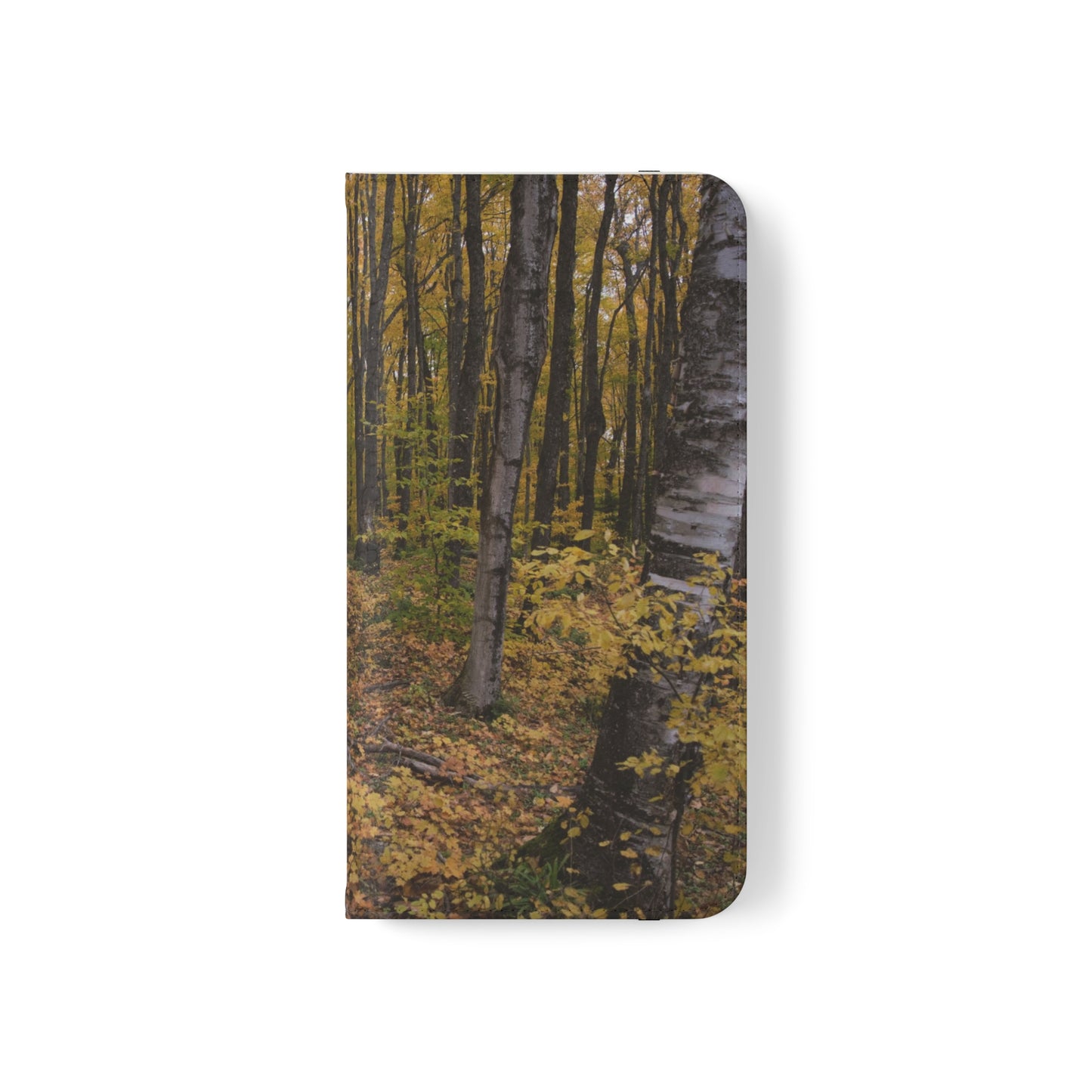 Flip Cases - Walk in the woods - iPhone 13, iPhone 13 Mini, iPhone 13 Pro Max, Samsung Galaxy S22