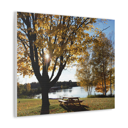 Canvas Gallery Wraps (White Wrap) - Fall picnic anyone