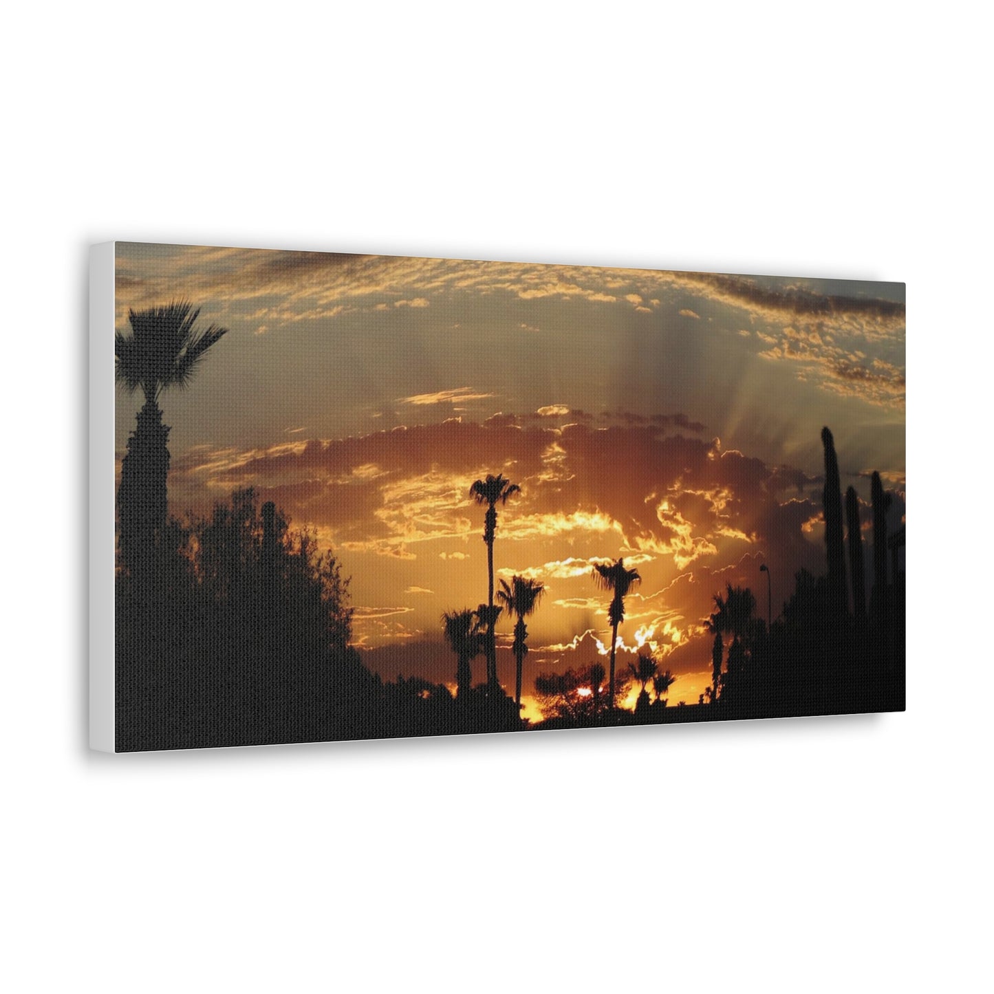 Canvas Gallery Wraps (White Wrap)