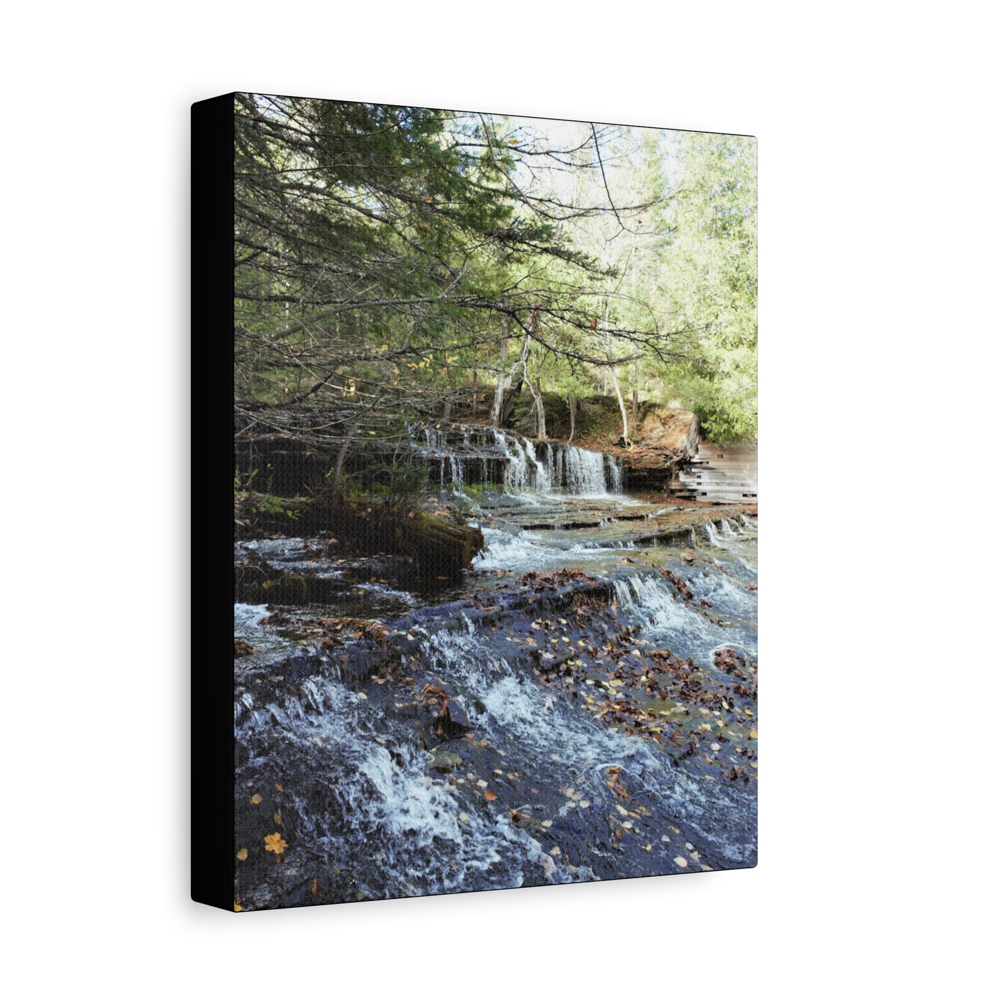 Matte Canvas, Stretched, 1.25" 2:3 Ratio Master Vertical  TEST