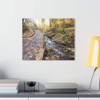 Acrylic Prints (French Cleat) Creekside Stroll, Artwork, Home Decor, Wall Art, Wall Decor, Office Decor, She Sheds