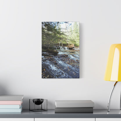 Matte Canvas, Stretched, 1.25" 2:3 Ratio Master Vertical  TEST