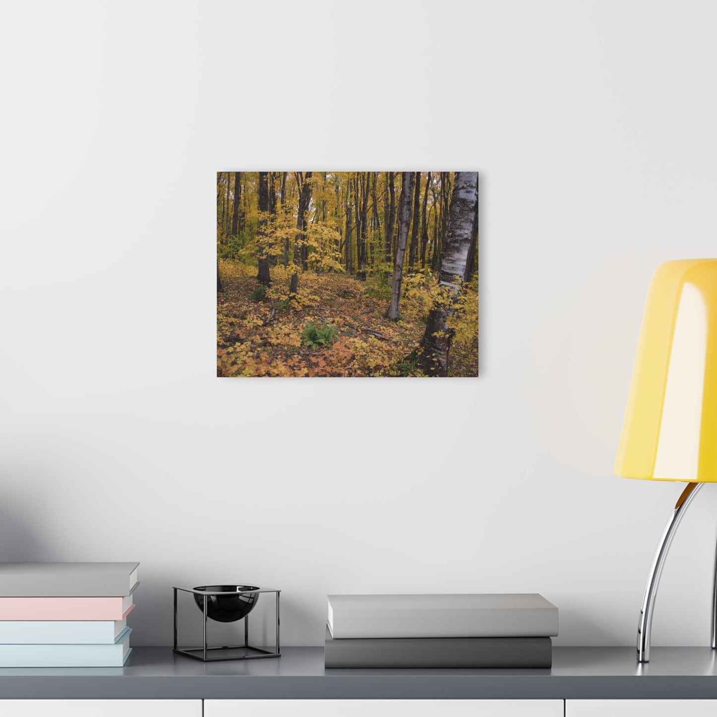 Acrylic Prints (French Cleat) Walk in the woods