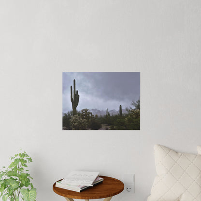 Wall Decals Desert morning fog