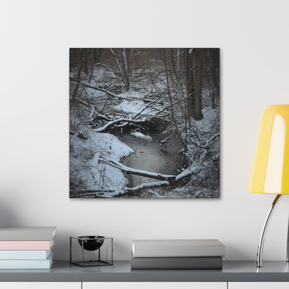 Canvas Gallery Wraps (Black Wrap) (Square) - Frozen pond in the park