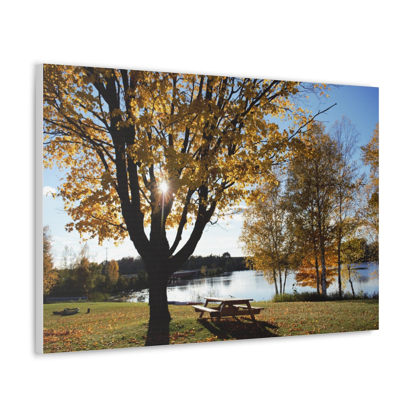 Canvas Gallery Wraps (White Wrap) - Fall picnic anyone