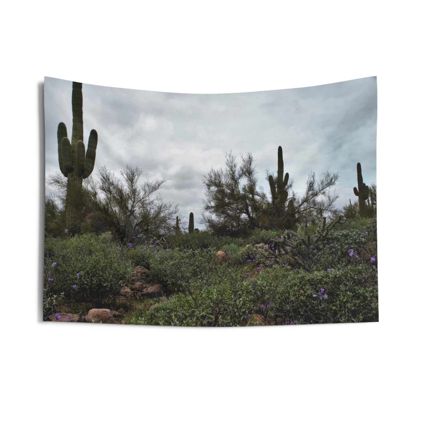 Indoor Wall Tapestries Desert in the Spring
