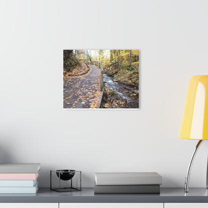 Acrylic Prints (French Cleat) Creekside Stroll