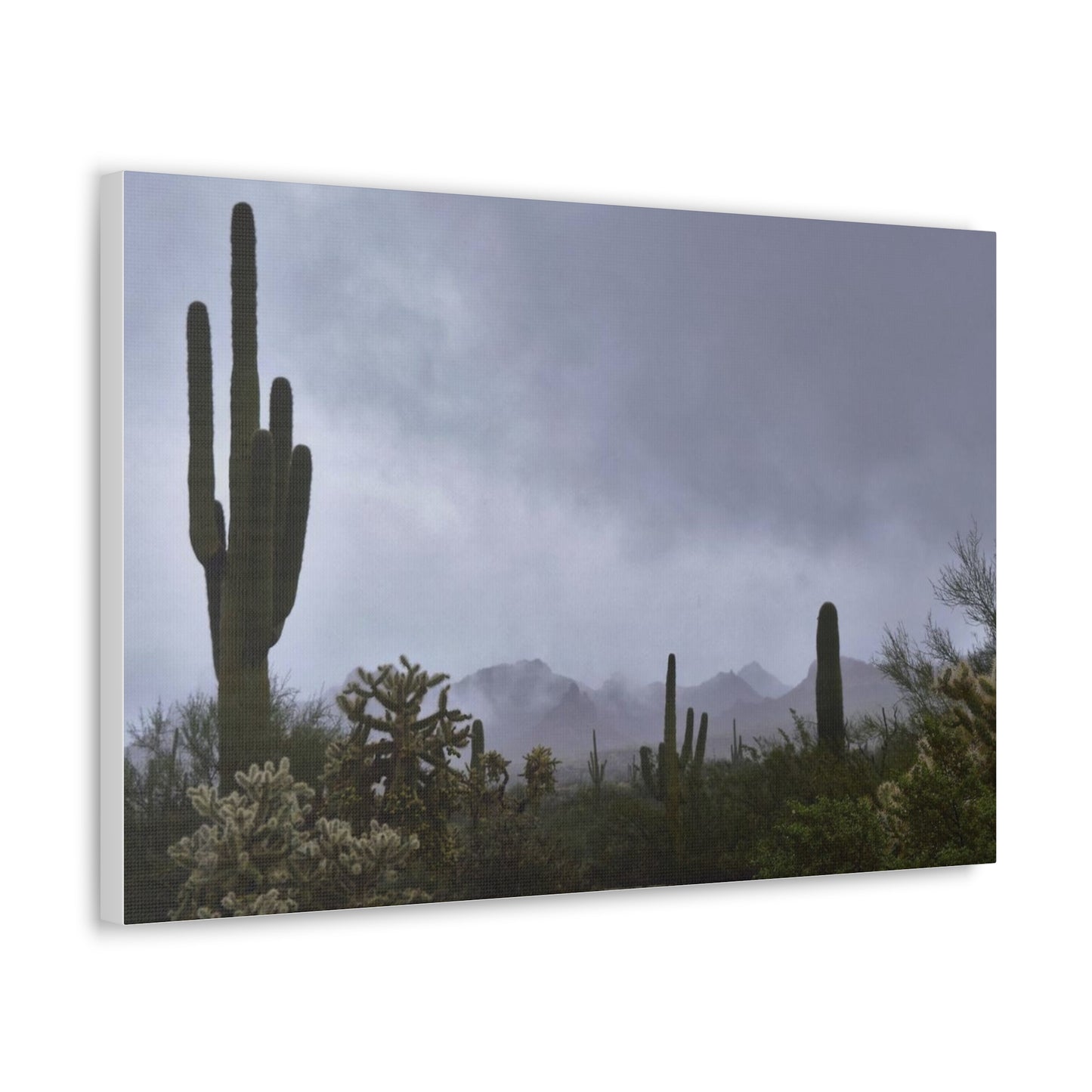 Canvas Gallery Wraps (White Wrap) Foggy day in the desert.