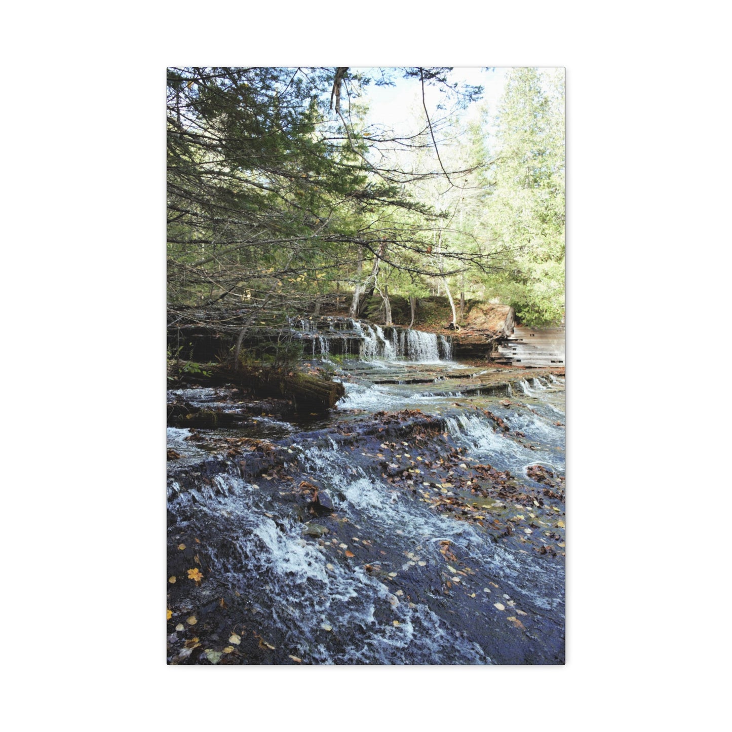 Matte Canvas, Stretched, 1.25" 2:3 Ratio Master Vertical  TEST