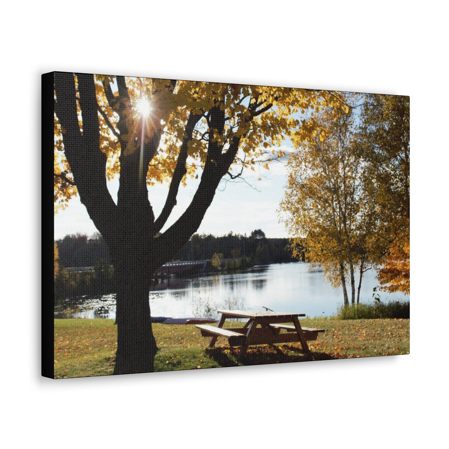 Canvas Gallery Wraps (Black Wrap) - Picinic by the river.