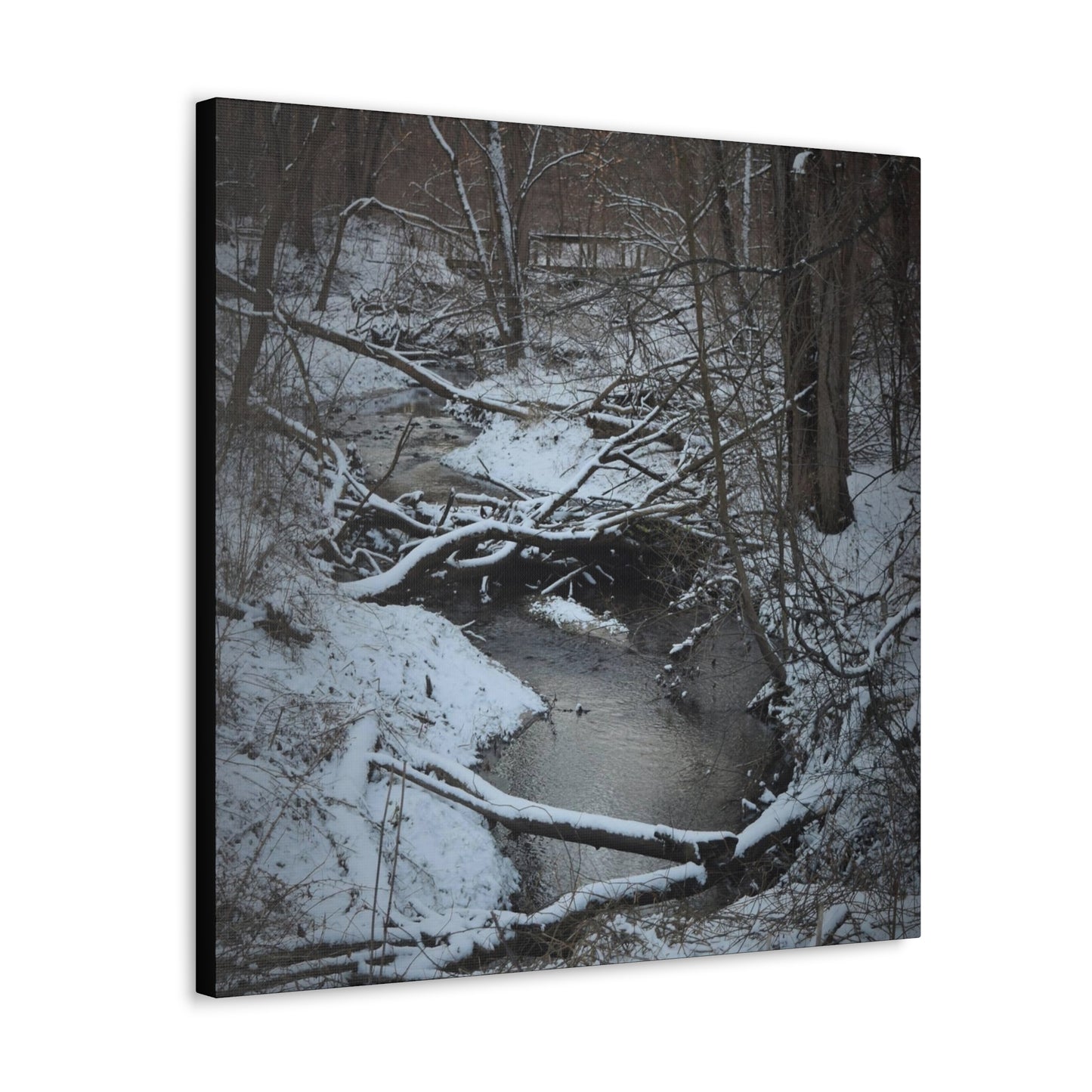 Canvas Gallery Wraps (Black Wrap) (Square) - Frozen pond in the park