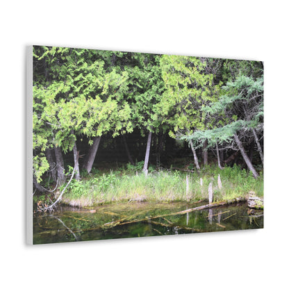 Canvas Gallery Wraps (White Wraps) Raw Nature