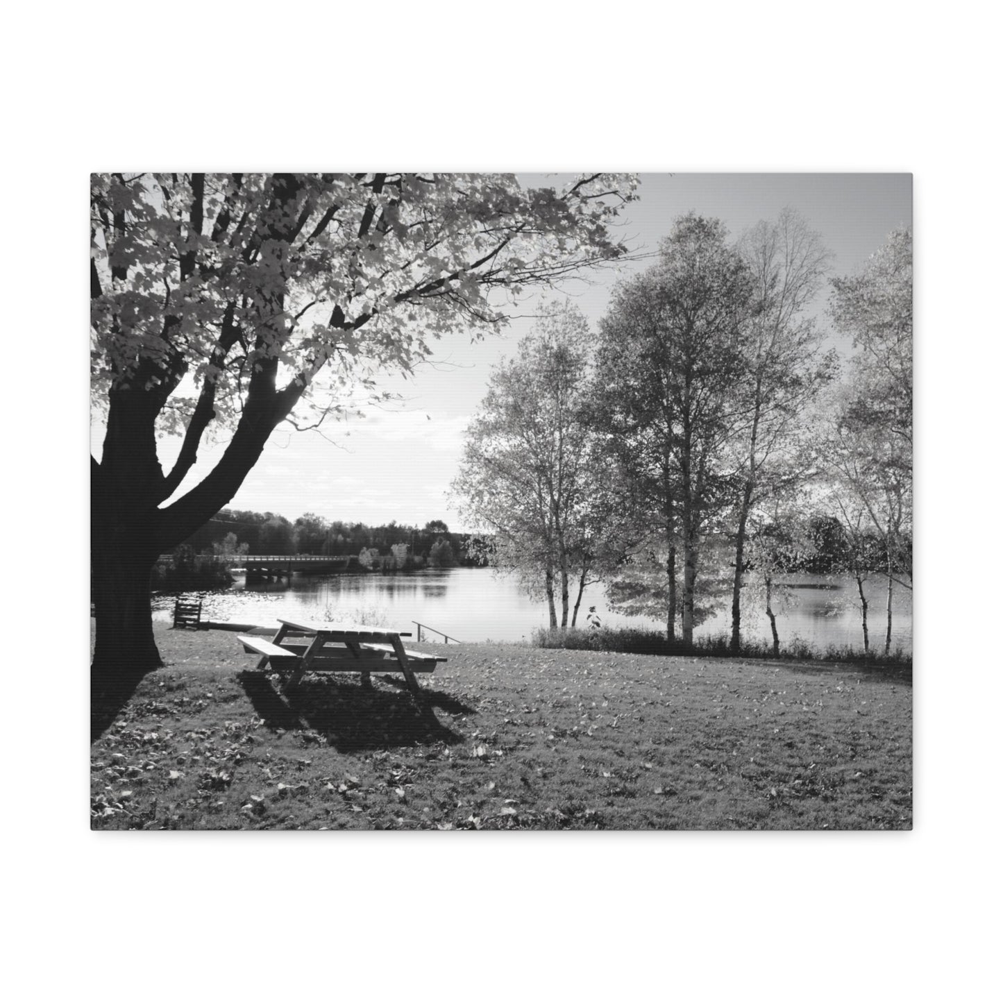 Canvas Gallery Wraps - Picinic by the river. Black and White