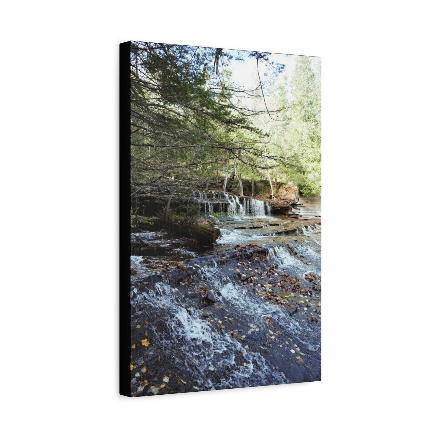 Matte Canvas, Stretched, 1.25" 2:3 Ratio Master Vertical  TEST