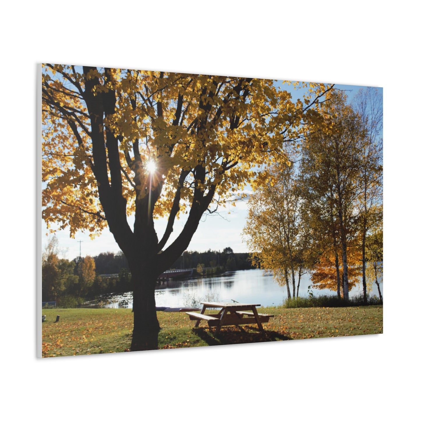 Canvas Gallery Wraps (White Wrap) - Fall picnic anyone