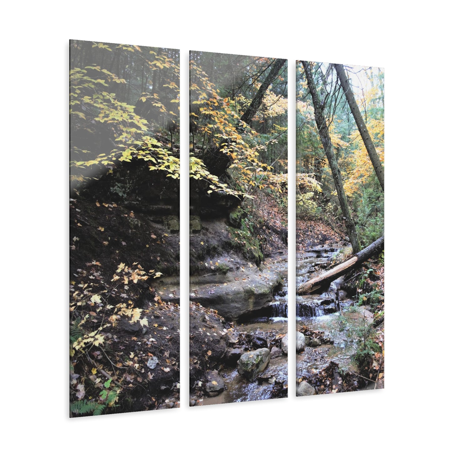 Acrylic Prints (Triptych) Bonus Creek