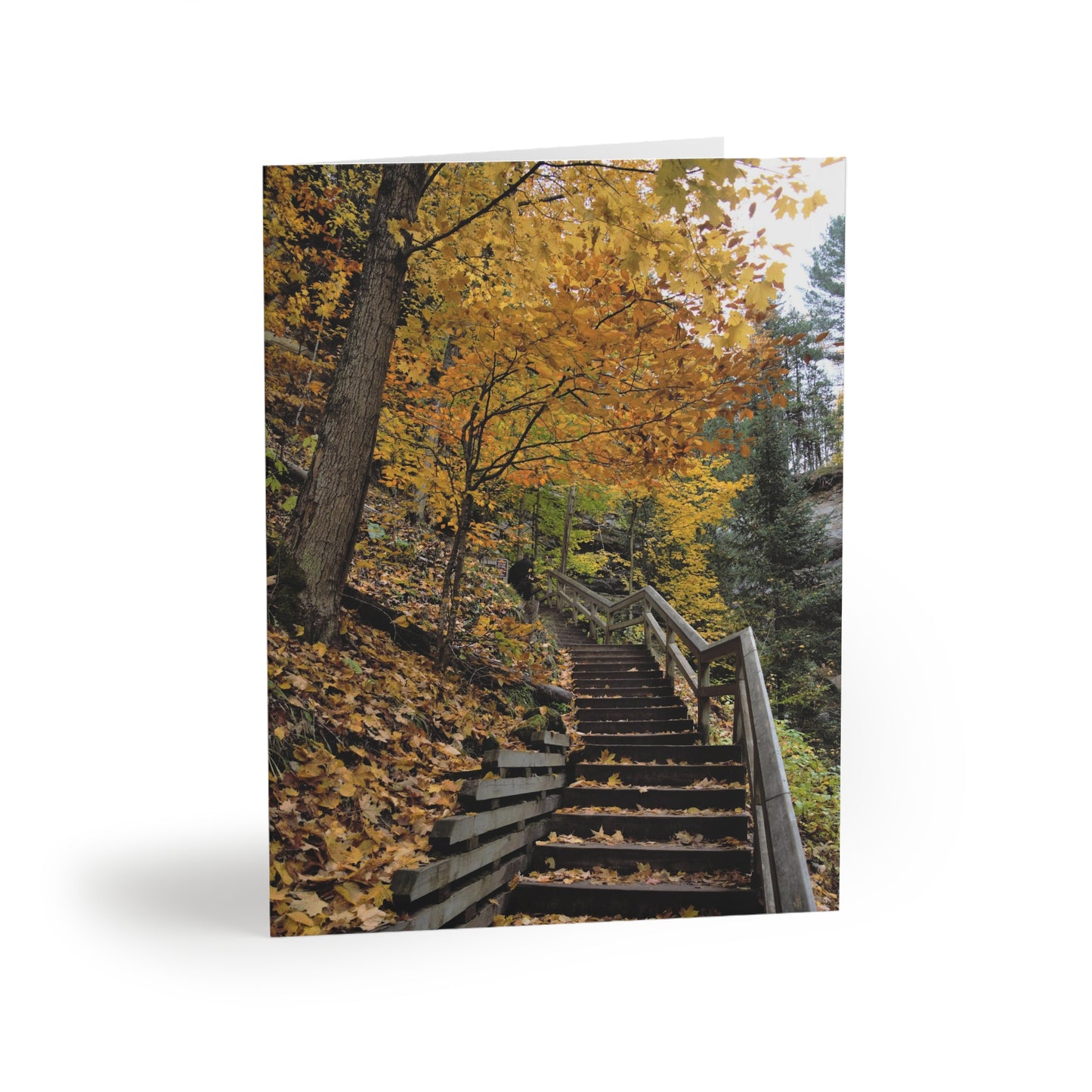 Greeting cards (8, 16, and 24 pcs) Fall walk near the falls