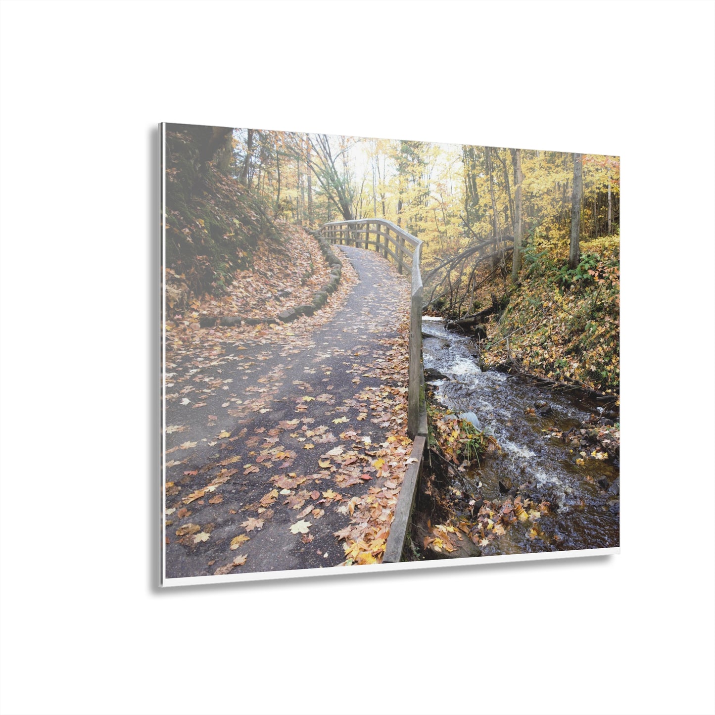 Acrylic Prints (French Cleat) Creekside Stroll