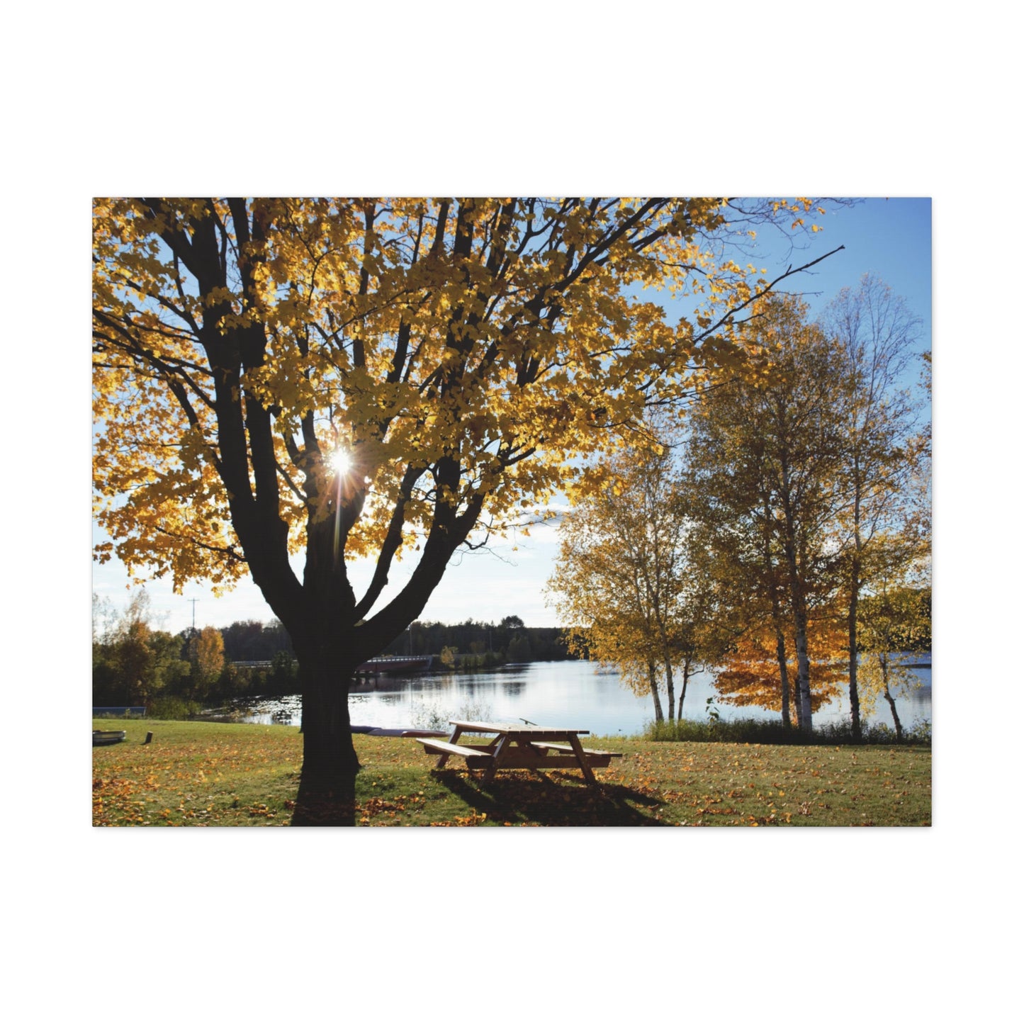 Canvas Gallery Wraps (White Wrap) - Fall picnic anyone