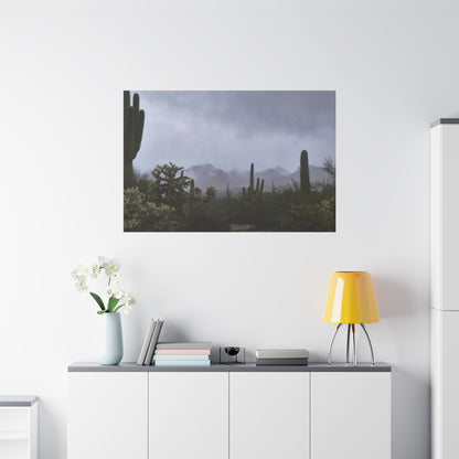 Foggy Desert Matte Canvas, Stretched, 1.25" 48" x 24", 32", 36"