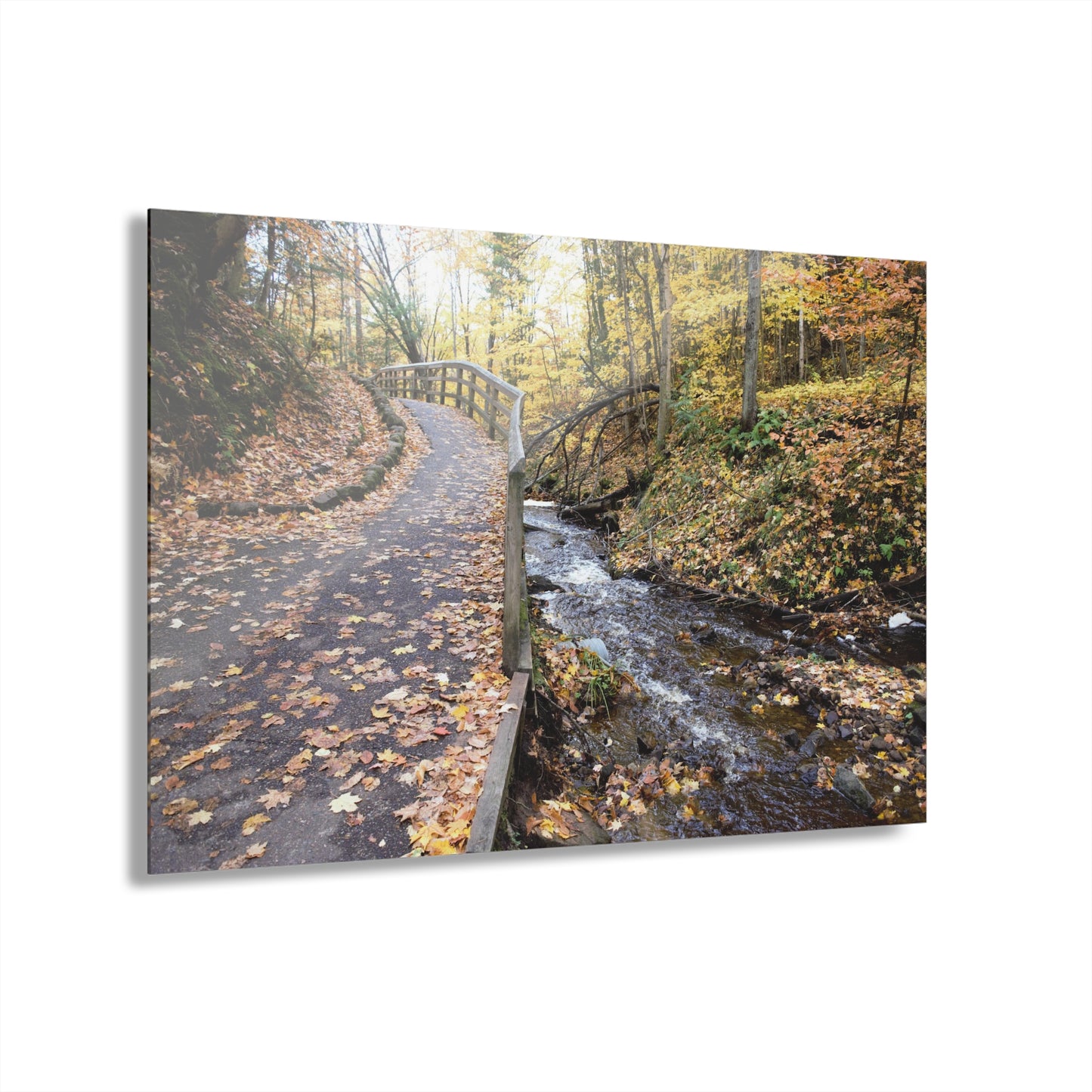 Acrylic Prints (French Cleat) Creekside Stroll