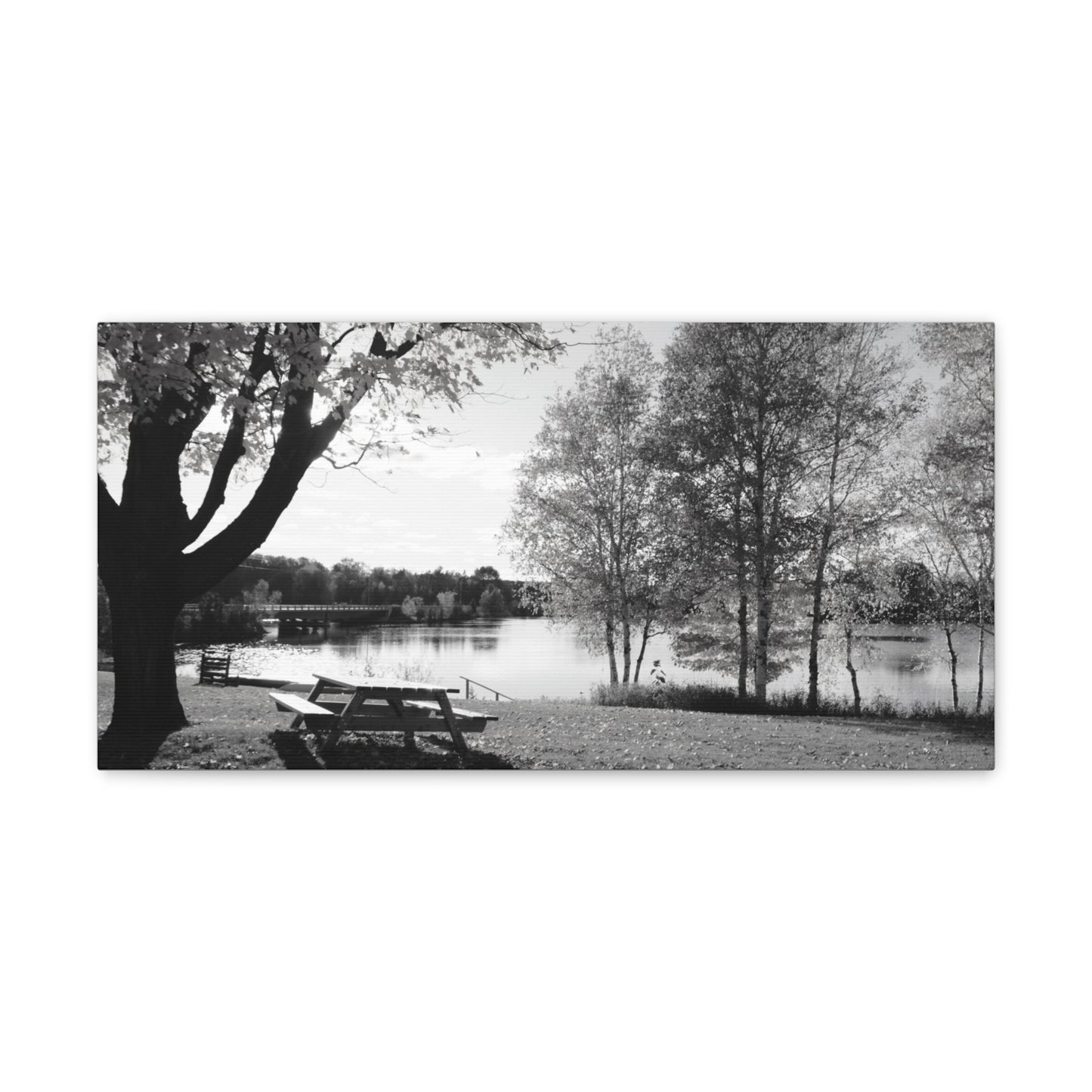 Canvas Gallery Wraps - Picinic by the river. Black and White