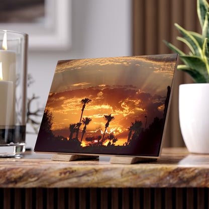 Ceramic Photo Tile - Palm Tree Sunrise