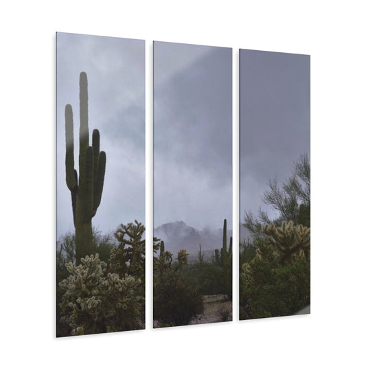 Acrylic Prints (Triptych) Foggy Desert