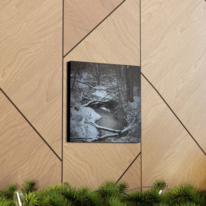 Canvas Gallery Wraps (Black Wrap) (Square) - Frozen pond in the park