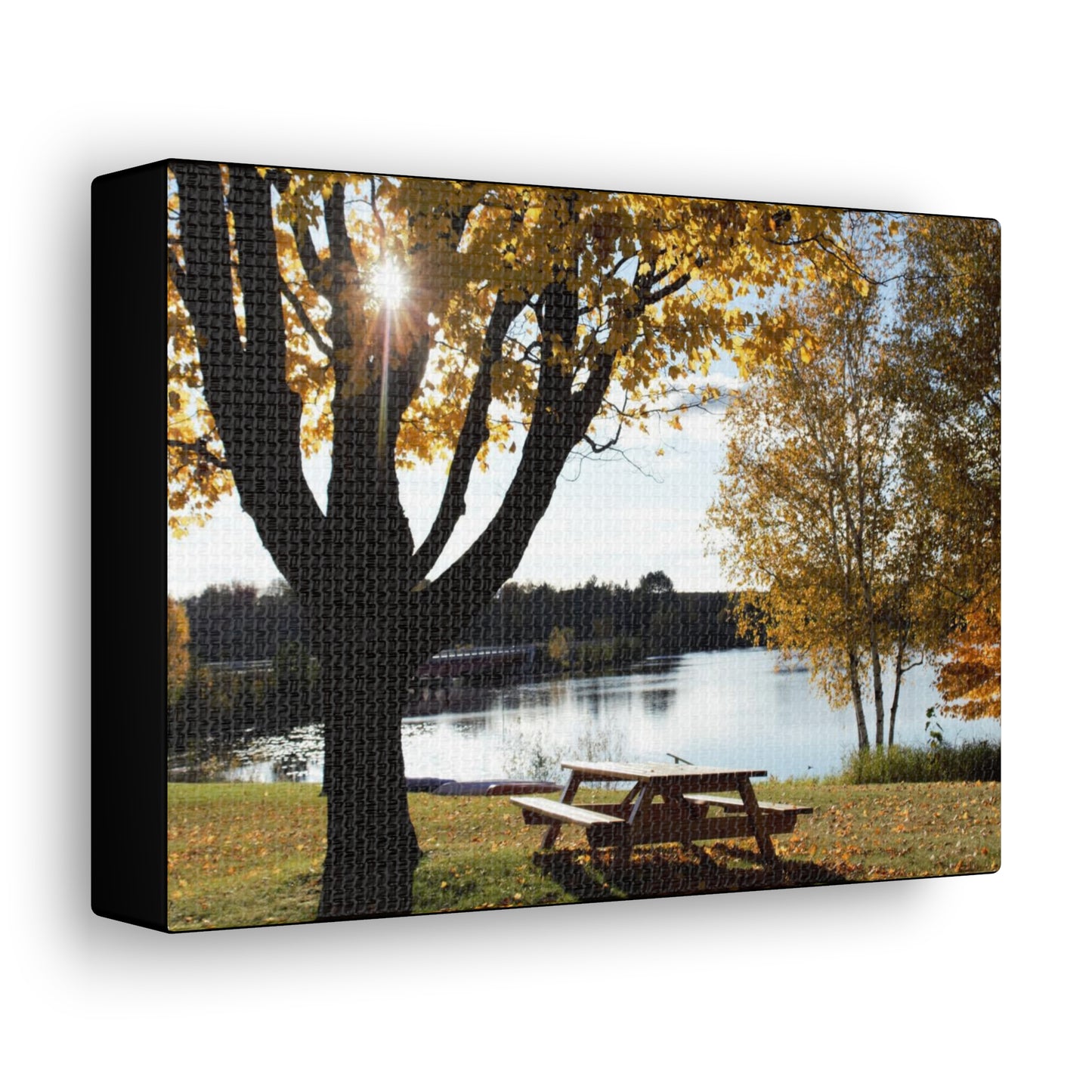 Canvas Gallery Wraps (Black Wrap) - Picinic by the river.