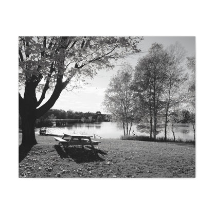 Canvas Gallery Wraps - Picinic by the river. Black and White