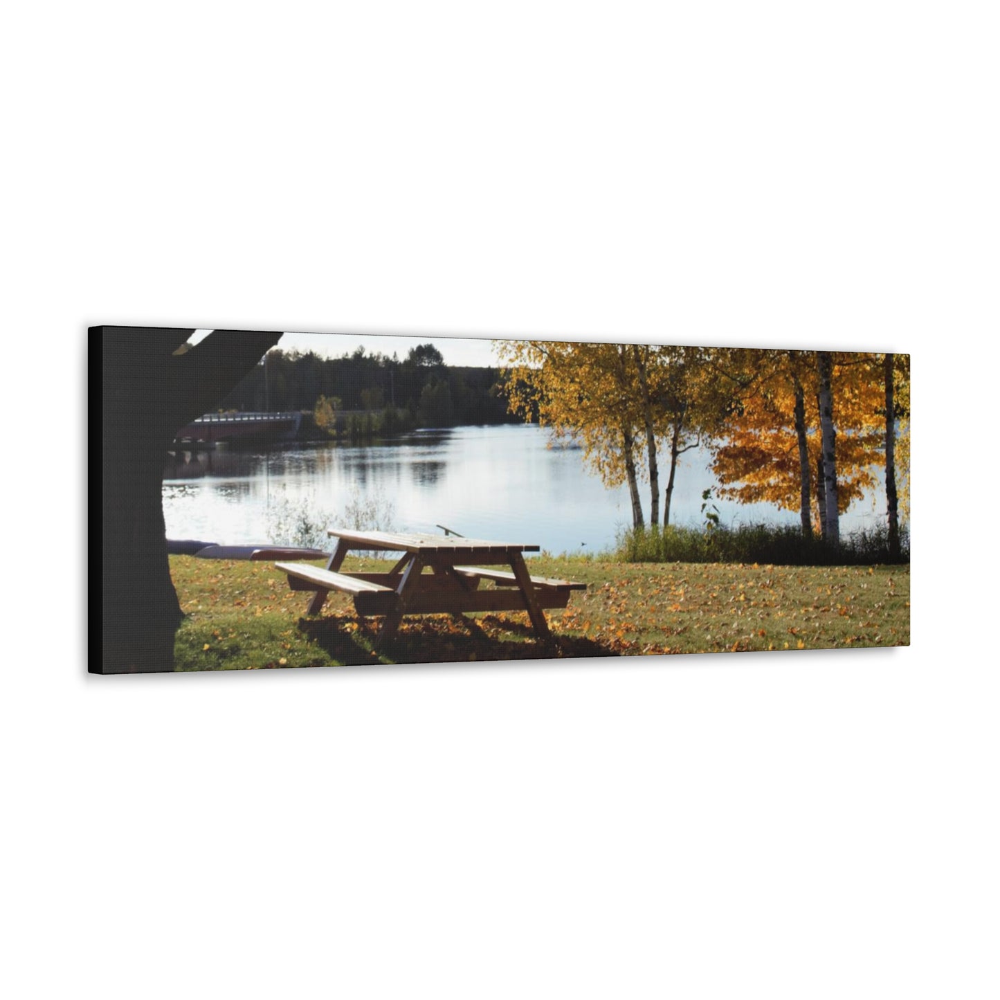 Canvas Gallery Wraps (Black Wrap) - Picinic by the river.