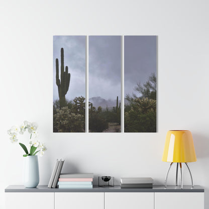 Acrylic Prints (Triptych) Foggy Desert