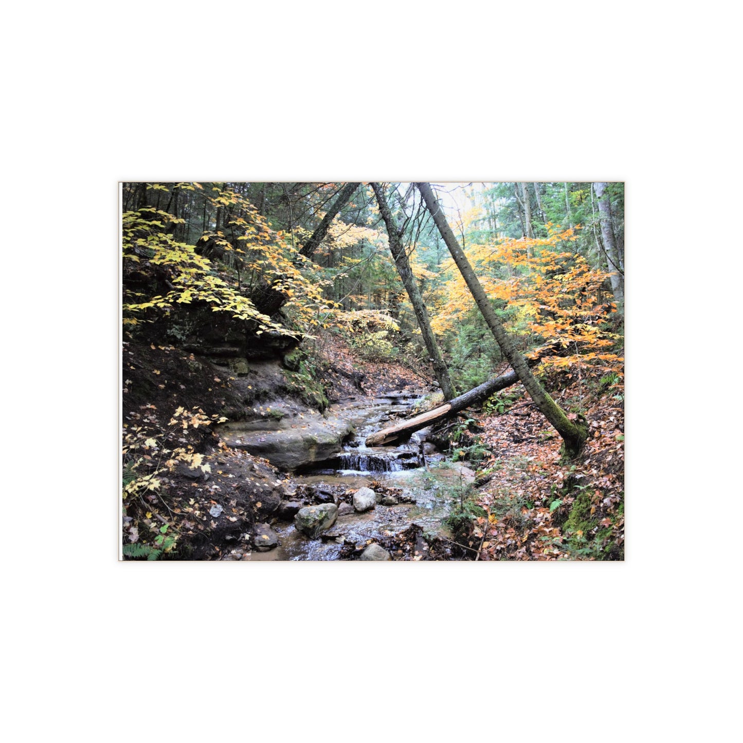 Ceramic Photo Tile - Bonus Creek