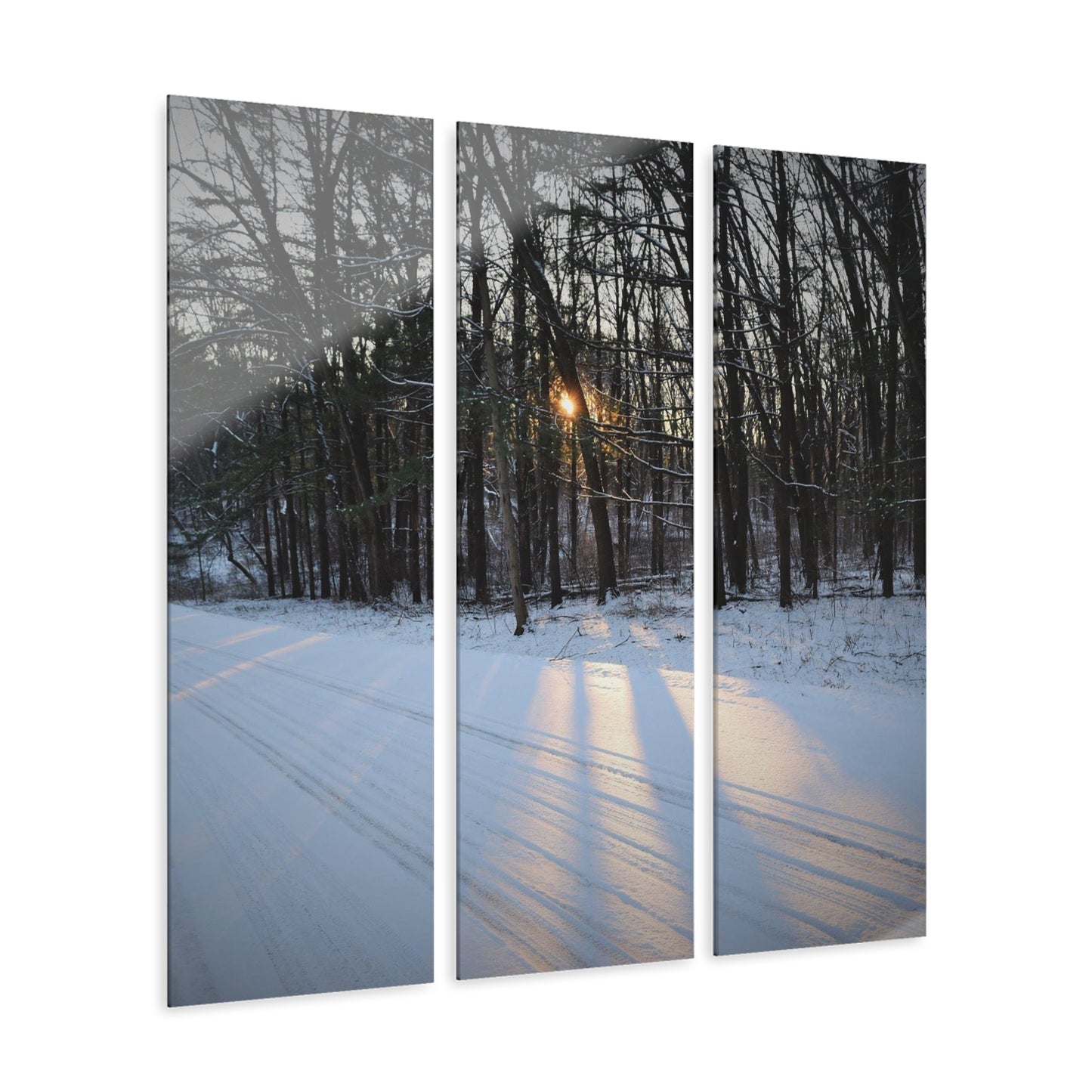 Acrylic Prints (Triptych) Winter Sun Beams