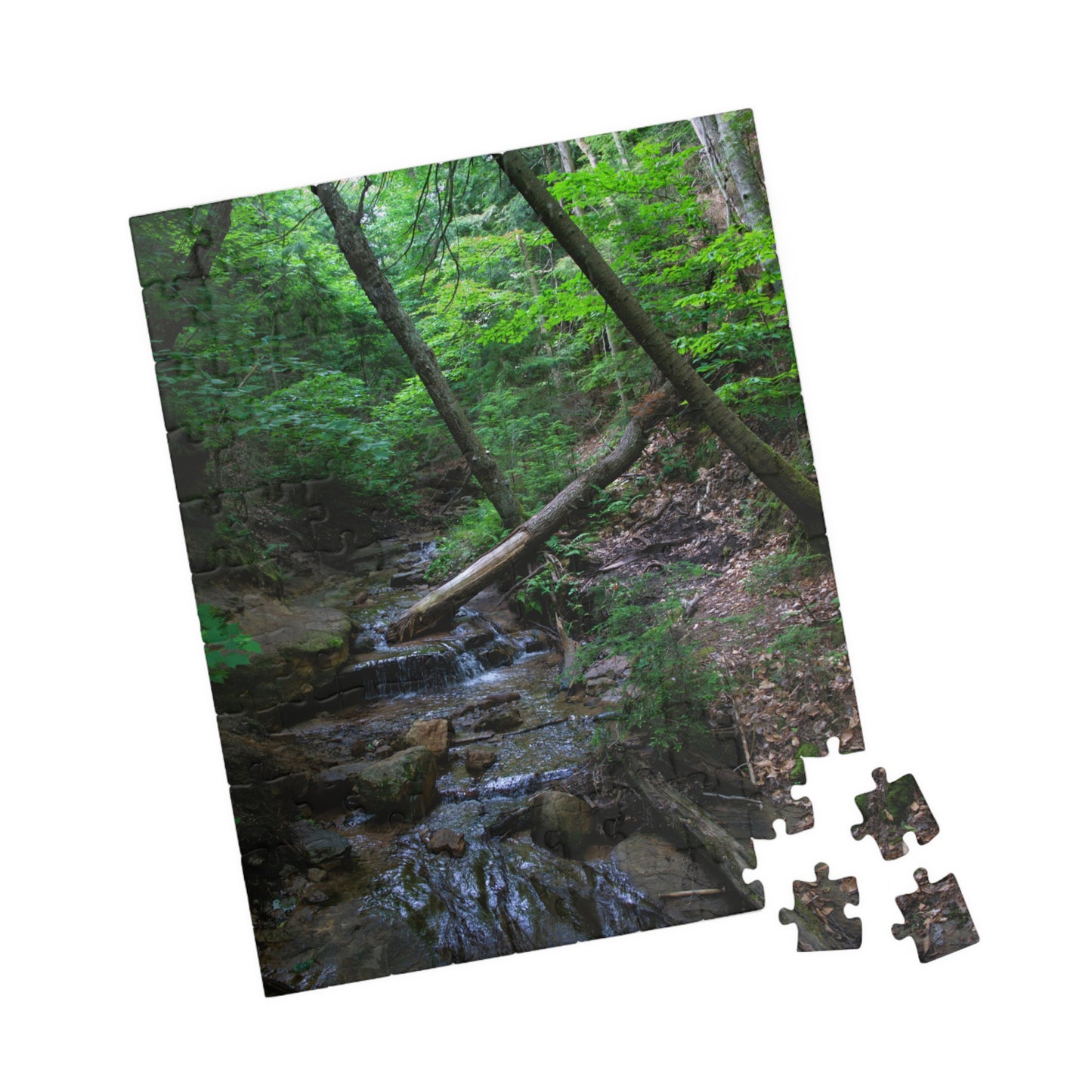 Puzzle (110, 252, 500, 1014-piece) Bonus Creek