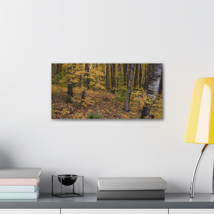 Canvas Gallery Wraps (White Wrap) - Golden Retreat