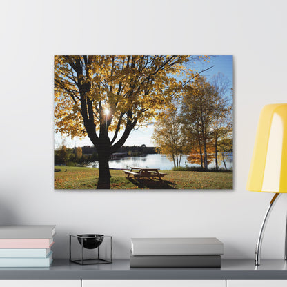 Canvas Gallery Wraps (White Wrap) - Fall picnic anyone