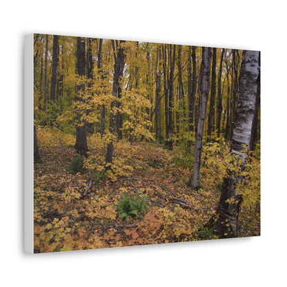 Canvas Gallery Wraps (White Wrap) - Golden Retreat