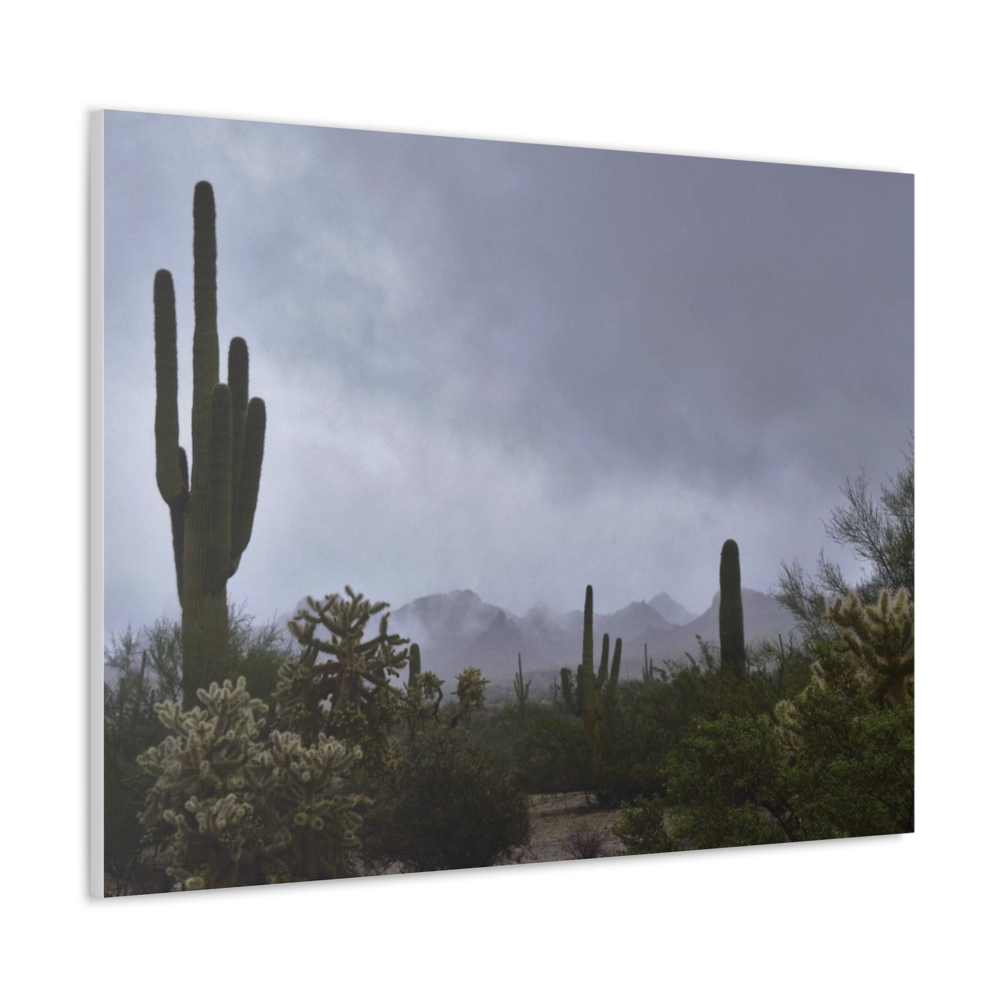 Canvas Gallery Wraps (White Wrap) Foggy day in the desert.