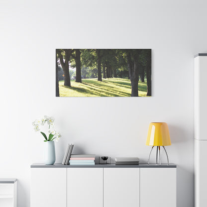 Walk in the park Matte Canvas, Stretched, 1.25" 48" x 24", 32", 36"