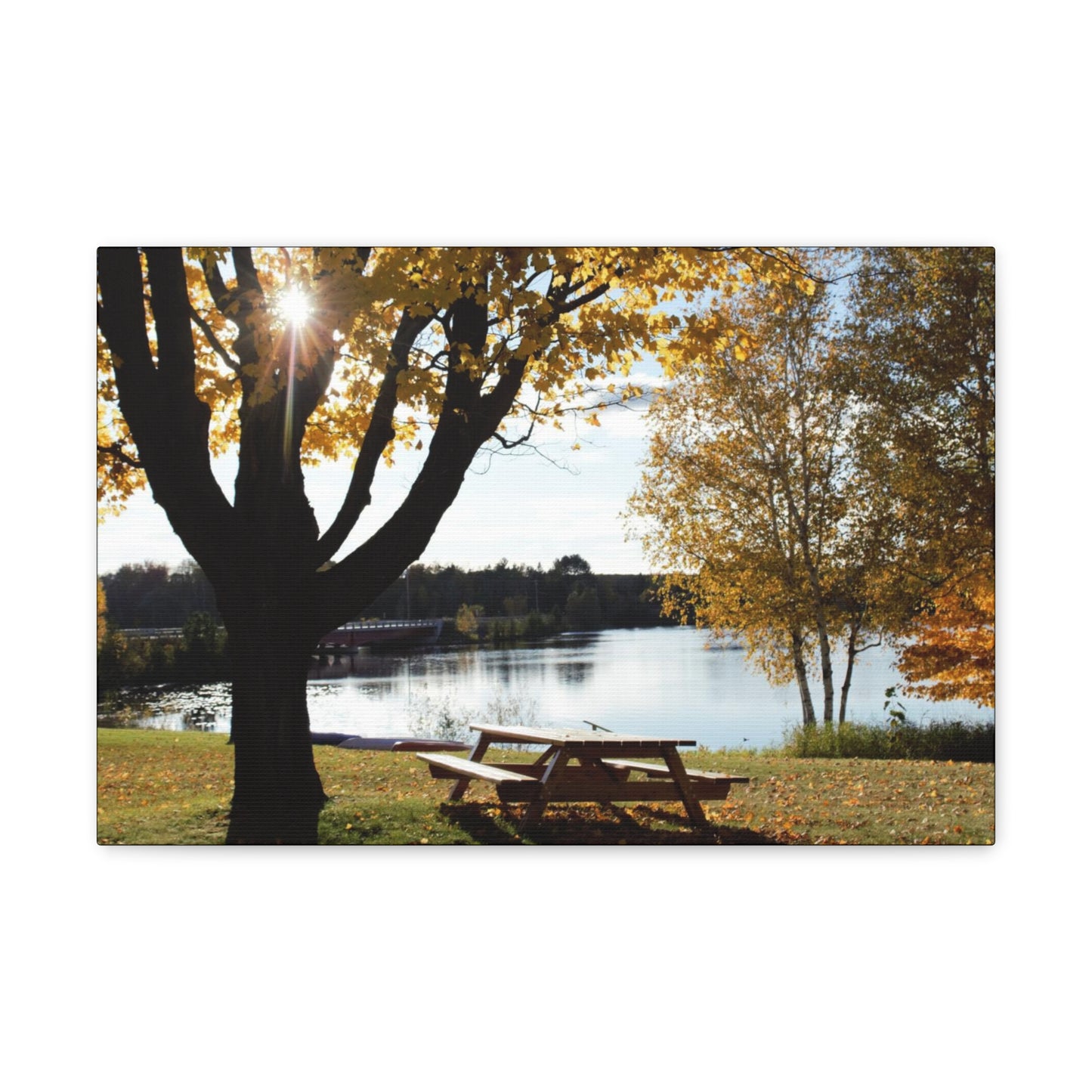 Canvas Gallery Wraps (Black Wrap) - Picinic by the river.