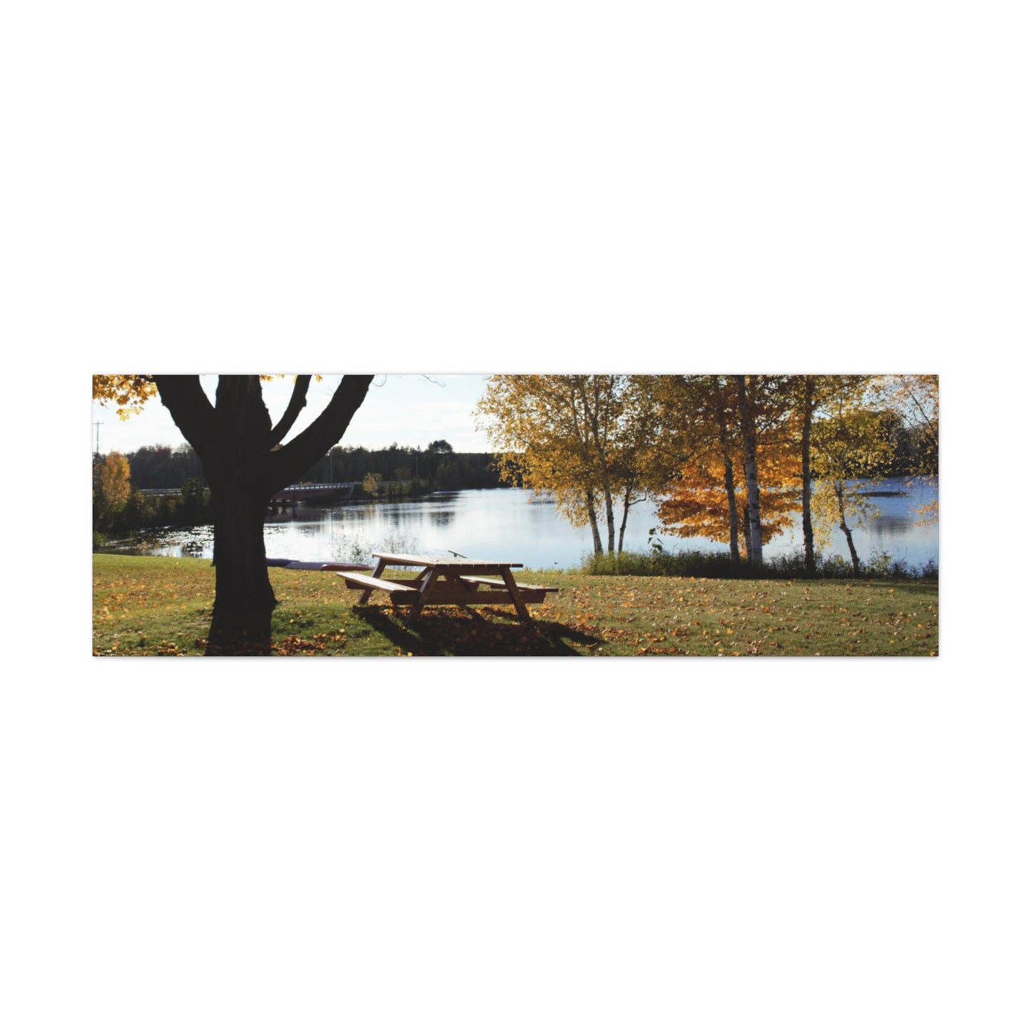 Canvas Gallery Wraps (White Wrap) - Fall picnic anyone