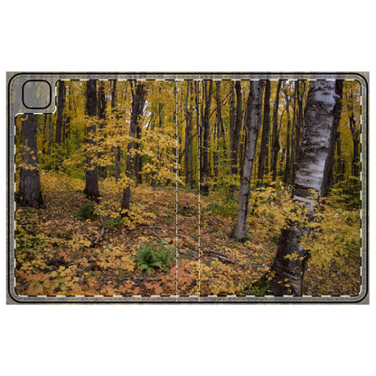 Tablet Folio Case - Walk in the woods. Ipad 12.9, Ipad 11