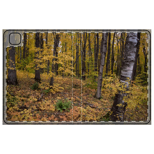 Tablet Folio Case - Walk in the woods. Ipad 12.9, Ipad 11