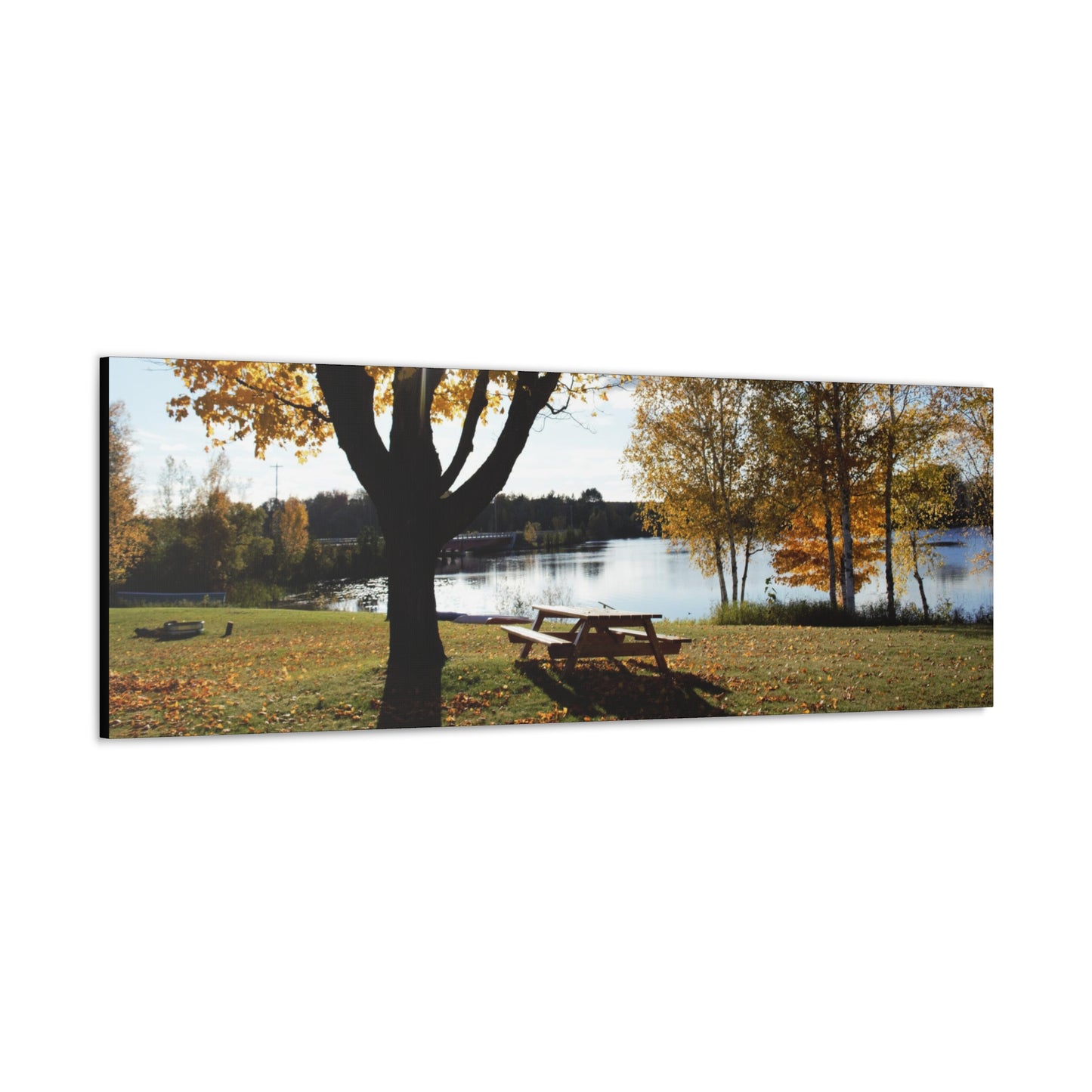 Canvas Gallery Wraps (Black Wrap) - Picinic by the river.