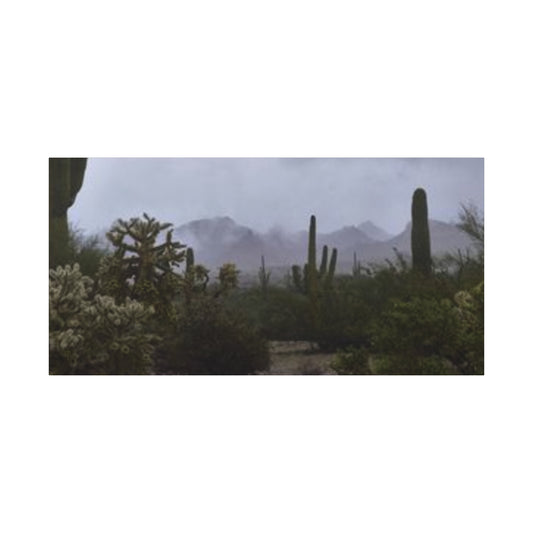 Foggy Desert Matte Canvas, Stretched, 1.25" 48" x 24", 32", 36"