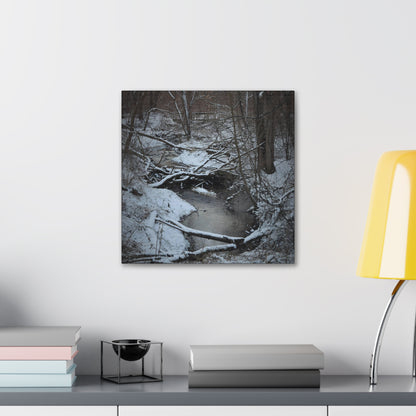 Canvas Gallery Wraps (Black Wrap) (Square) - Frozen pond in the park